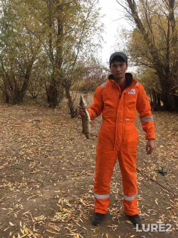 Pike — Zapadno-Kazakhstanskaya oblast, Oct 24, 2018