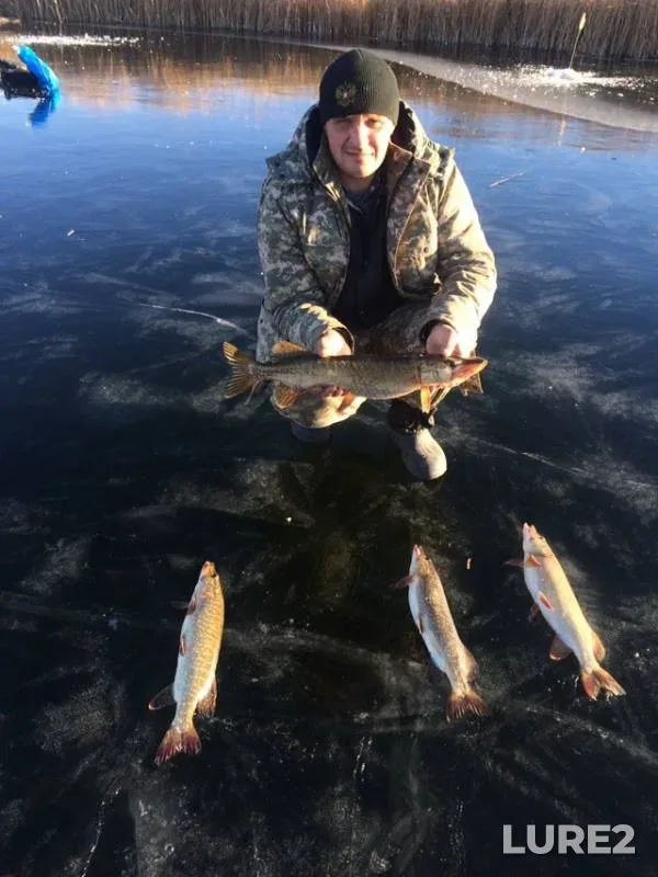 Pike — Olenty, Nov 17, 2018