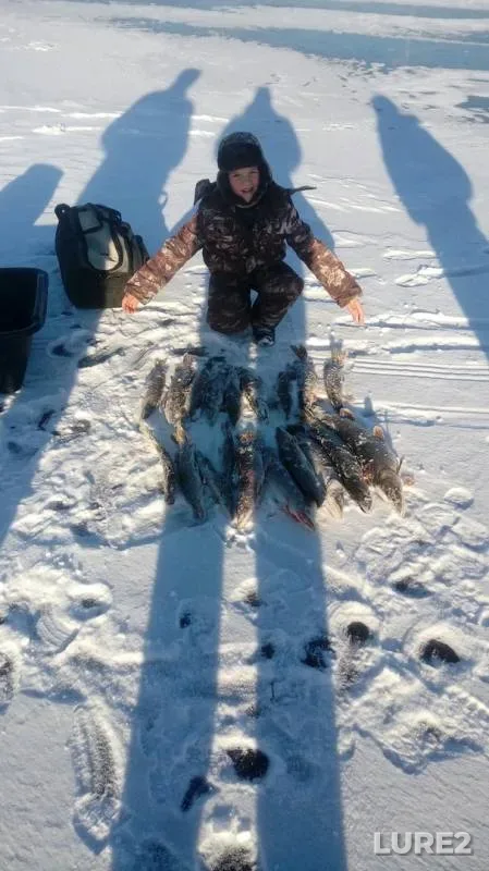 Pike — Zapadno-Kazakhstanskaya oblast, Nov 24, 2018