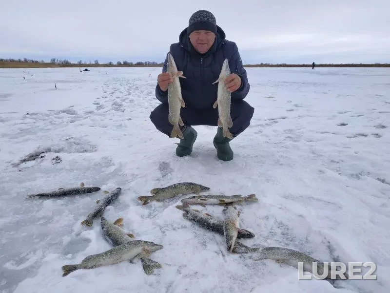 Pike — Kirovskoye, Dec 03, 2018