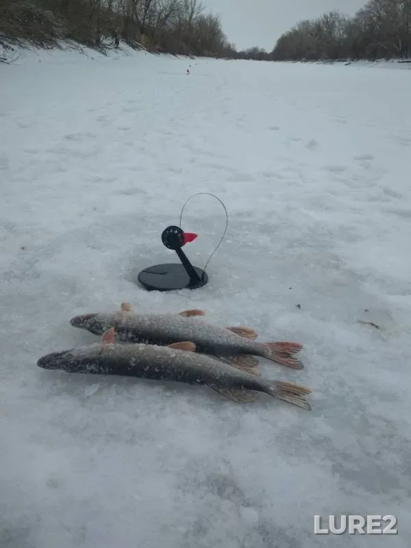 Pike — Shagan, Dec 13, 2018