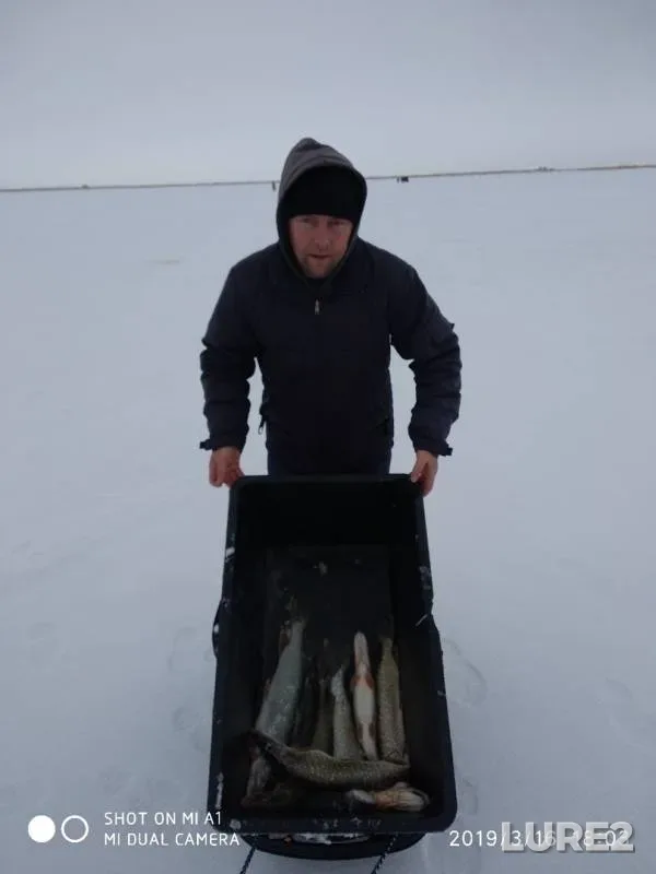 Pike — Kushum, Mar 17, 2019
