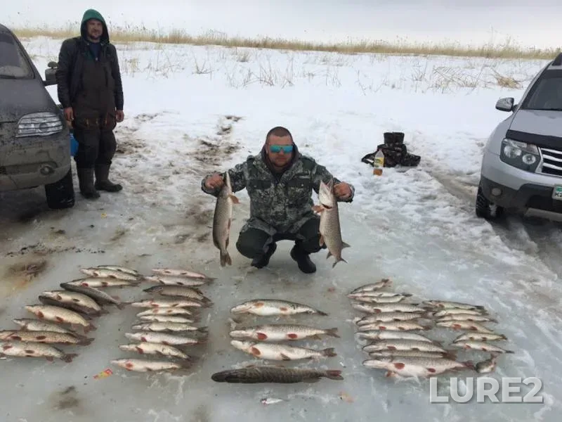 Pike — Bitikskoye, Mar 23, 2019