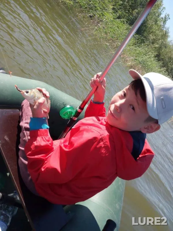 Crucian carp — Zapadno-Kazakhstanskaya oblast, Jun 09, 2019