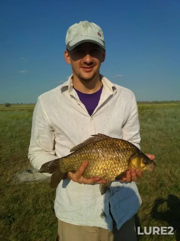 Crucian carp — Rubezhka, Jul 25, 2019