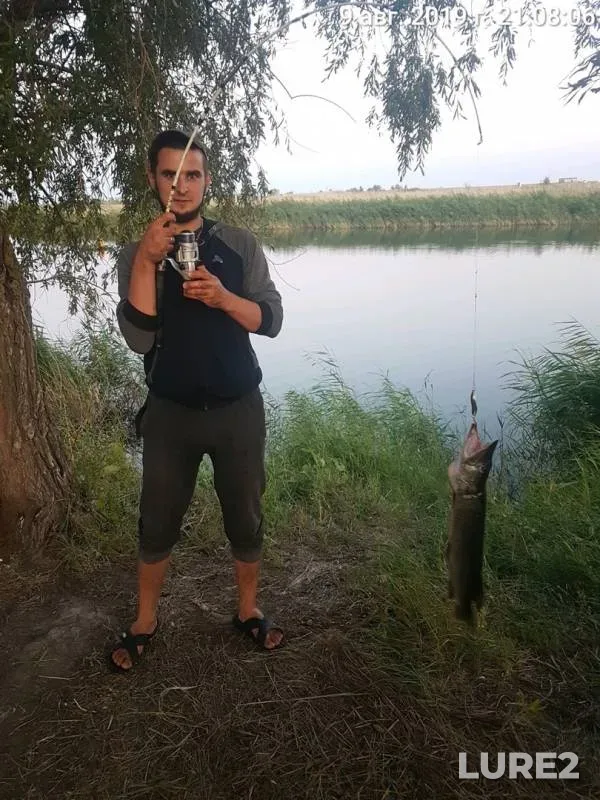 Pike — Zapadno-Kazakhstanskaya oblast, Aug 09, 2019