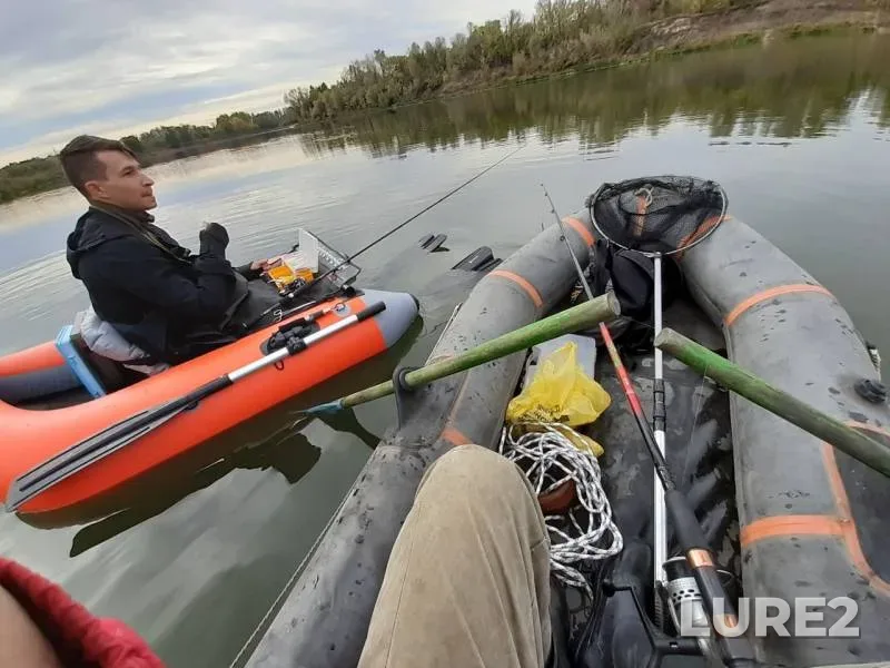 Wels catfish, Pike — Don, Sep 28, 2019