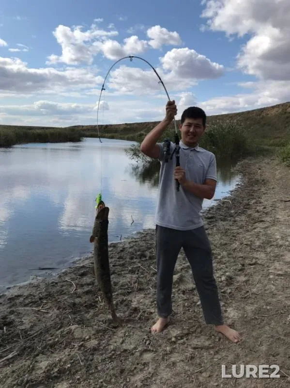 Pike — Zapadno-Kazakhstanskaya oblast, Sep 09, 2019