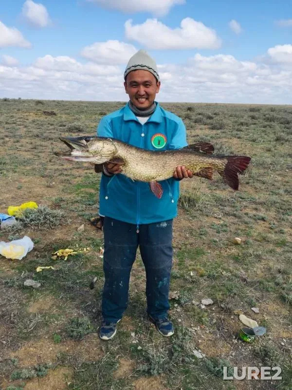 Pike — Aktyubinskaya oblast, Sep 11, 2019