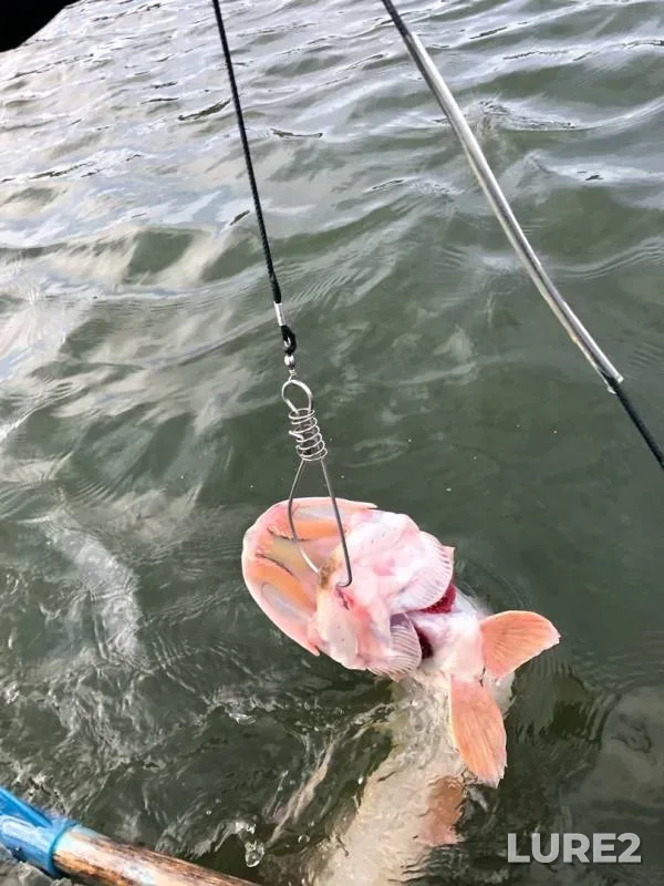 Pike — Don, Sep 27, 2019