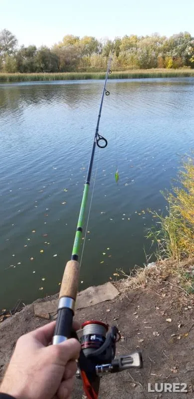 Perch — Shagan, Oct 03, 2019