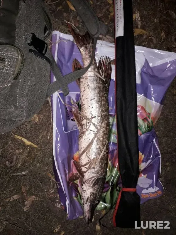 Pike — Shagan, Oct 05, 2019