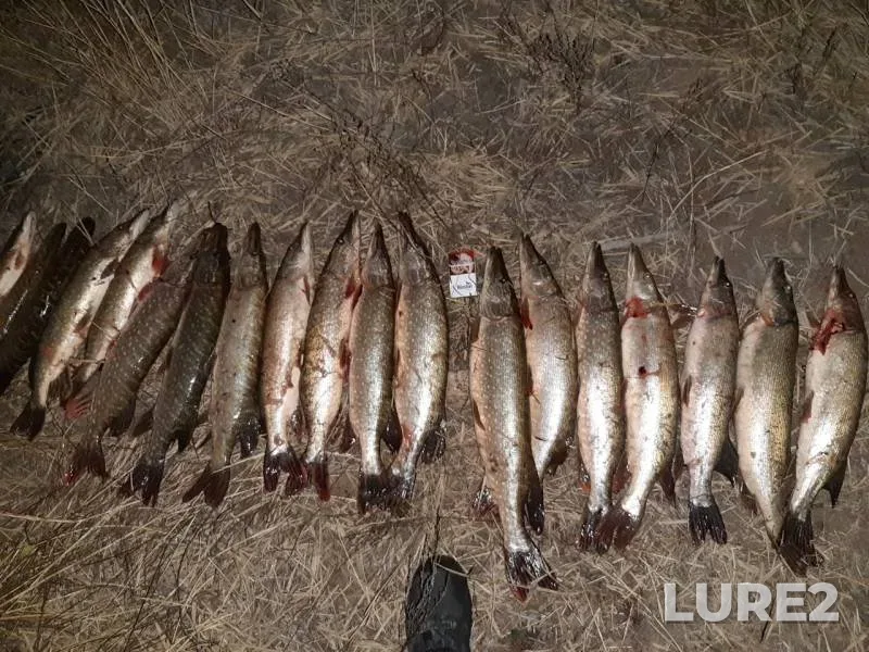 Pike — Kirovskoye, Oct 09, 2019