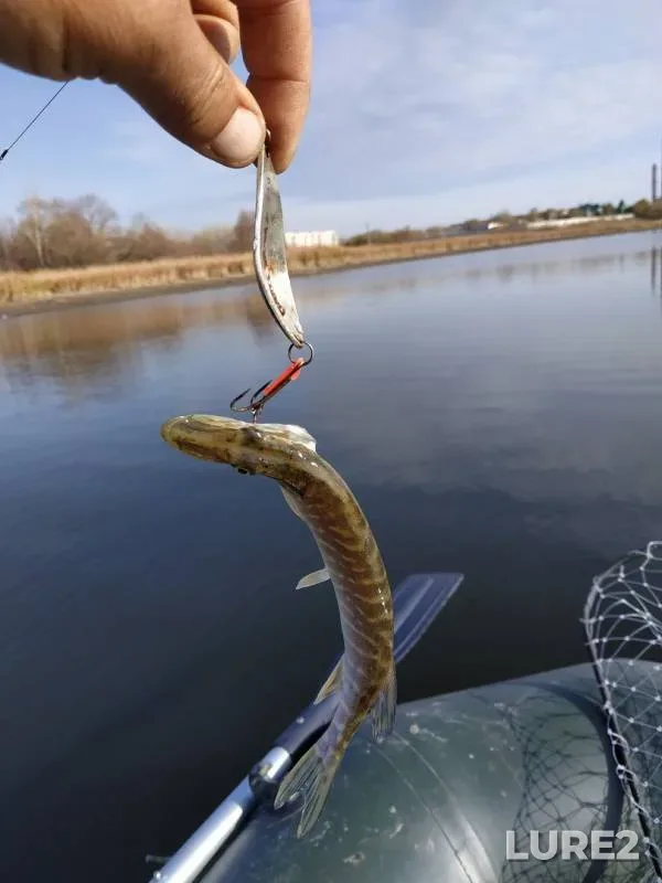 Pike — Shagan, Oct 21, 2019