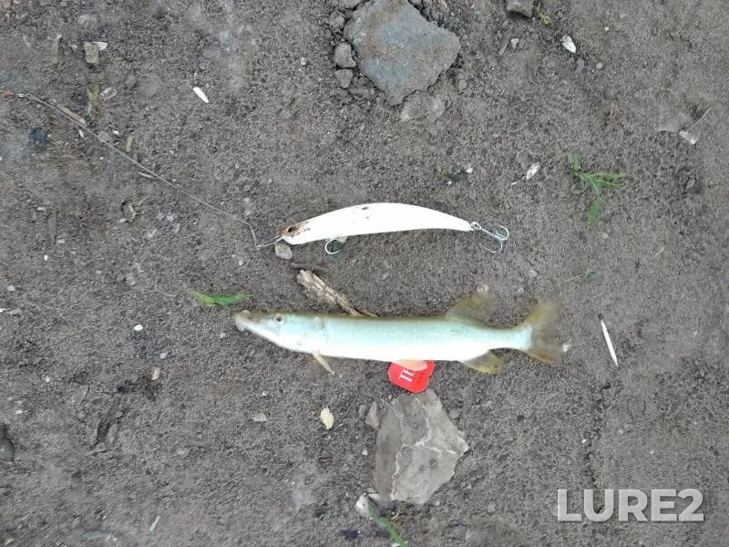 Pike — Samara, Aug 14, 2018