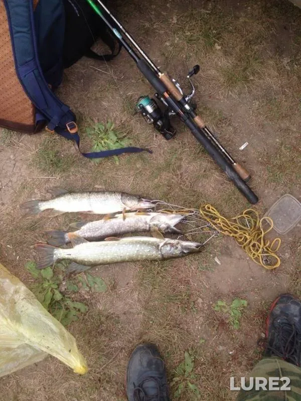 Pike — Samarskaya oblast, Sep 13, 2018