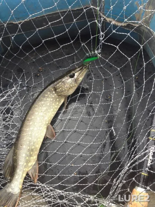 Pike — Volga, Sep 29, 2018