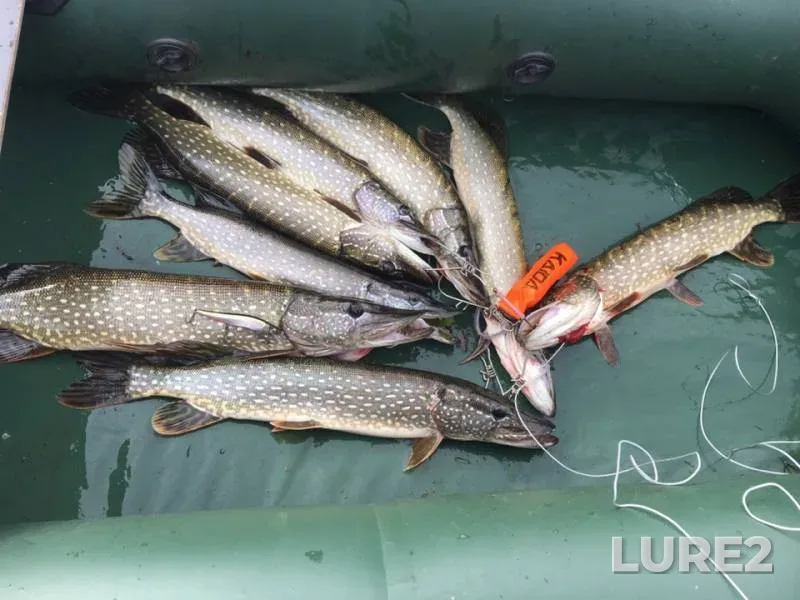 Pike — Samara, Oct 03, 2018
