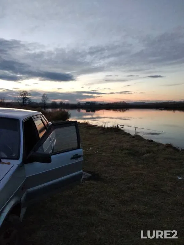 Crucian carp — Samarskaya oblast, Oct 29, 2018