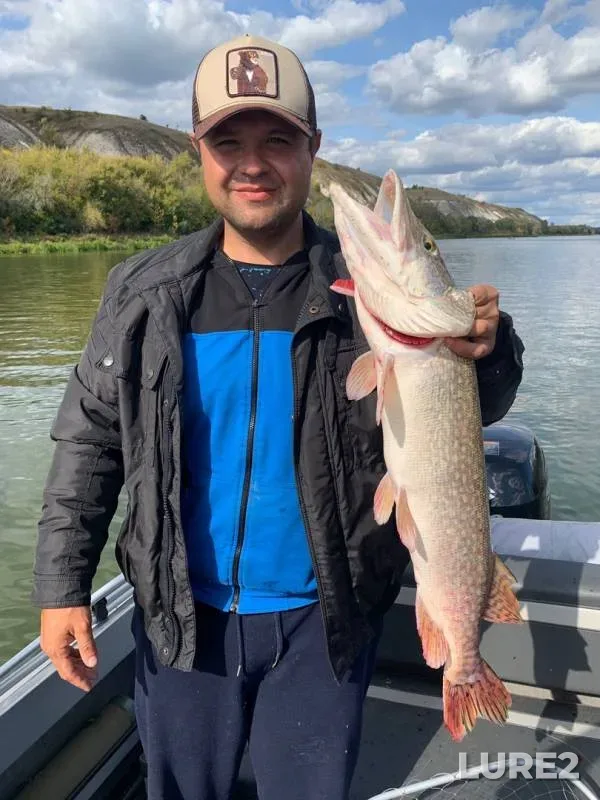 Pike — Don, Sep 15, 2019