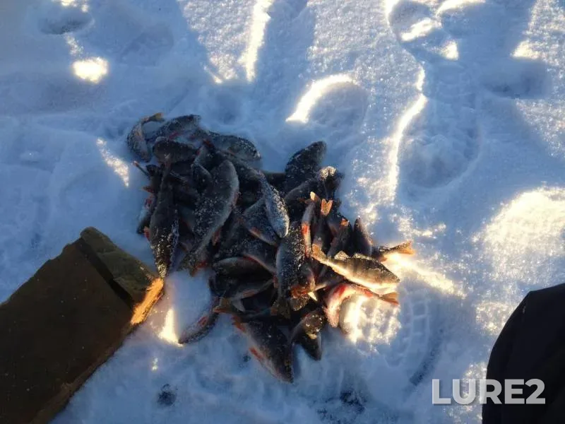 Perch — Samarskaya oblast, Privolzhskiy rayon, Dec 01, 2018