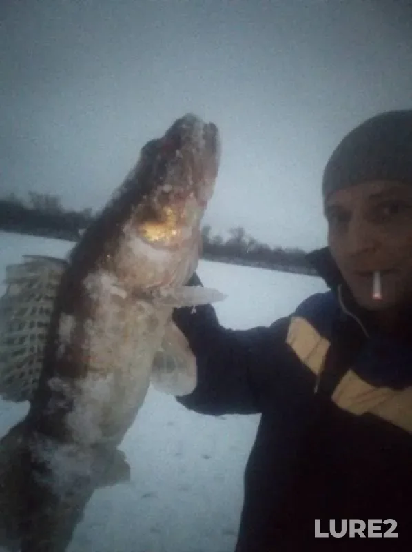 Zander — Bolshoy Kinel, Dec 04, 2018