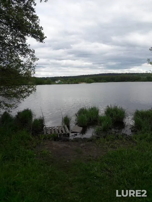 Perch, Roach — Samarskaya oblast, May 20, 2019