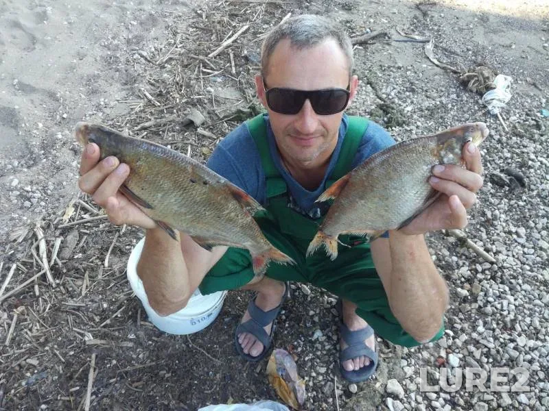 Bream — Samara, Jun 11, 2019