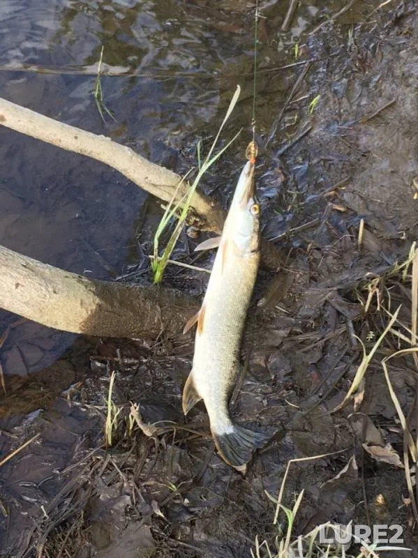 Pike — Peschanoye, Jun 15, 2019