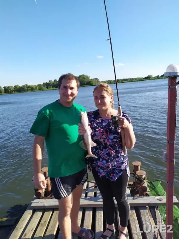 Zander — Samara, Jul 28, 2019