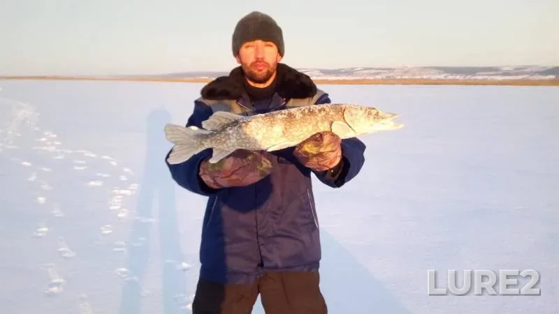 Pike — Nizhnekamskoye, Dec 17, 2017