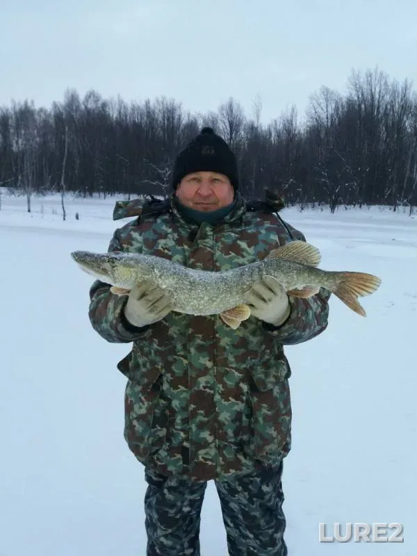 Pike — Yasnenkoye, Dec 22, 2017