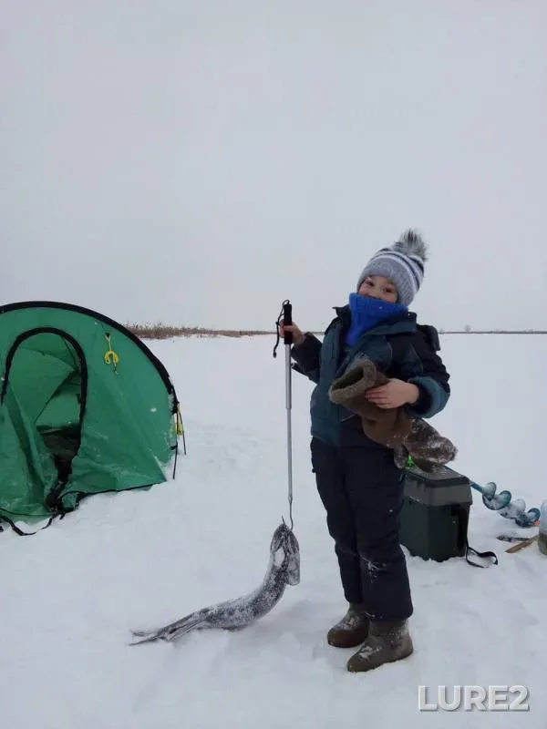 Pike — Nizhnekamskoye, Jan 17, 2018