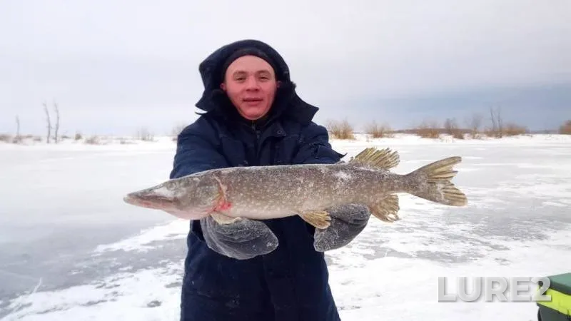 Pike — Nizhnekamskoye, Feb 04, 2018