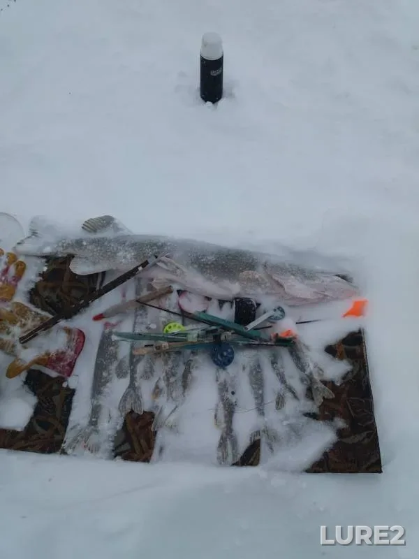 Pike — Belaya, Mar 19, 2018