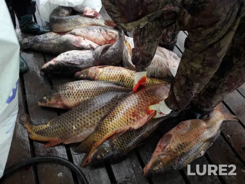 Pike, Roach — Gandurino, Apr 27, 2018