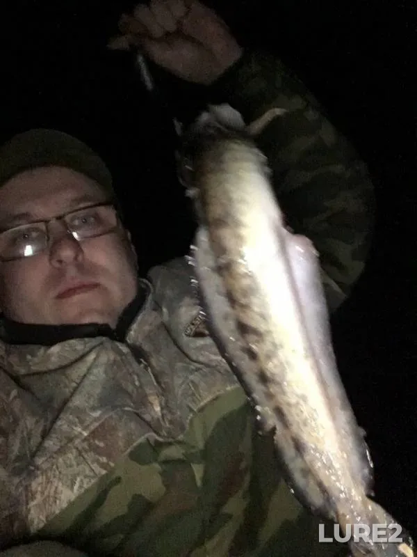 Burbot — Kama, May 05, 2018