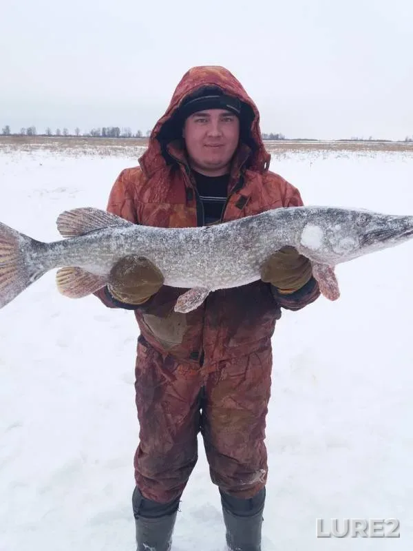 Pike, Zander — Belaya, Dec 08, 2018