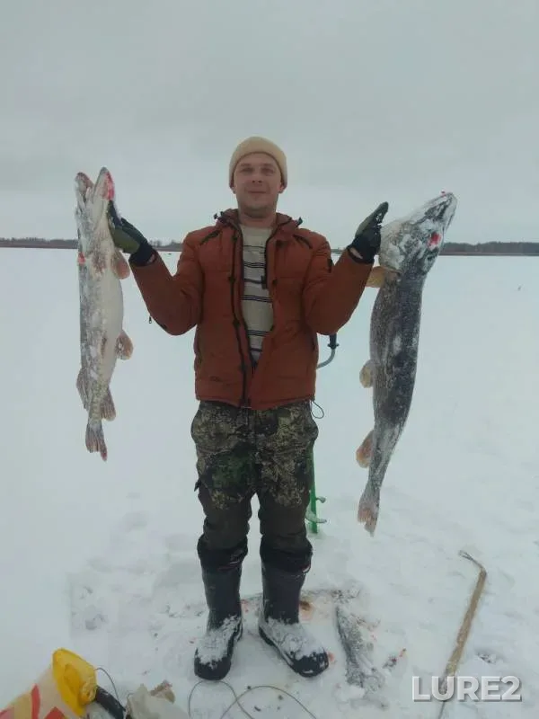 Pike — Azevka, Dec 10, 2018