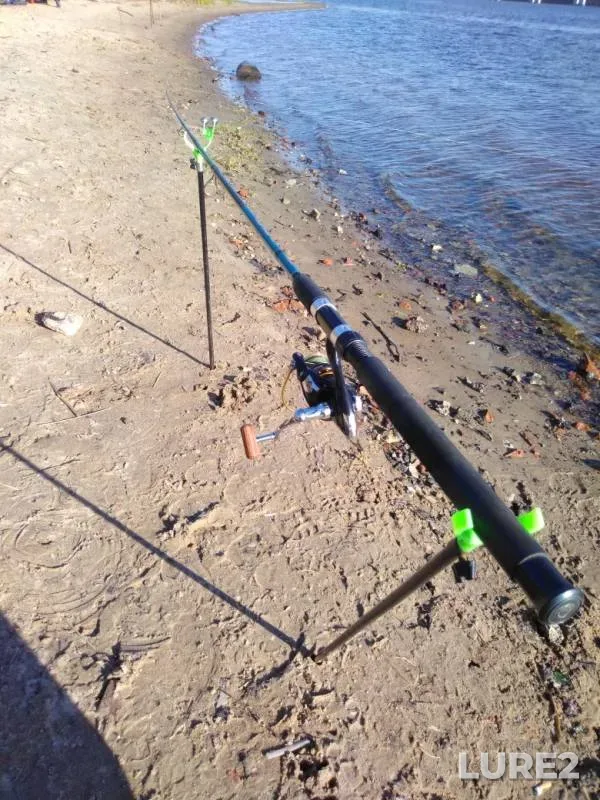 Bream — Kama, Jun 08, 2019