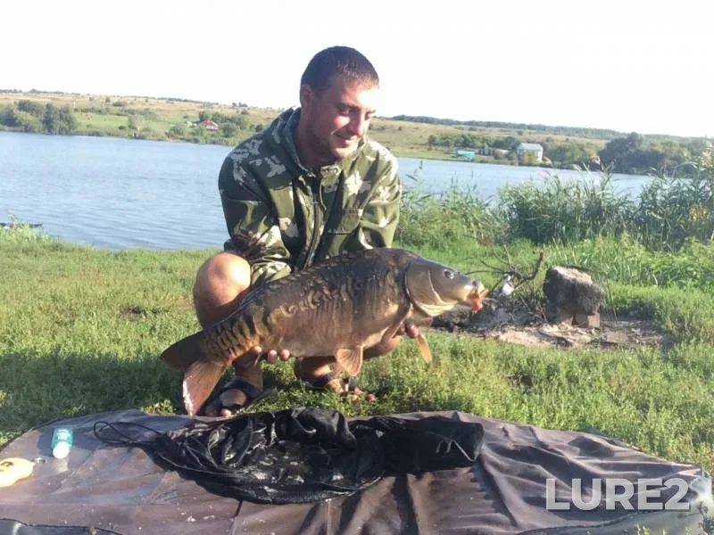 Carp — Shevchenkovskiy, Aug 23, 2019