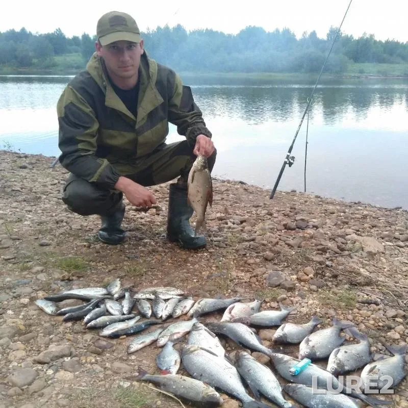 Bream — Dergachka, Jun 26, 2019