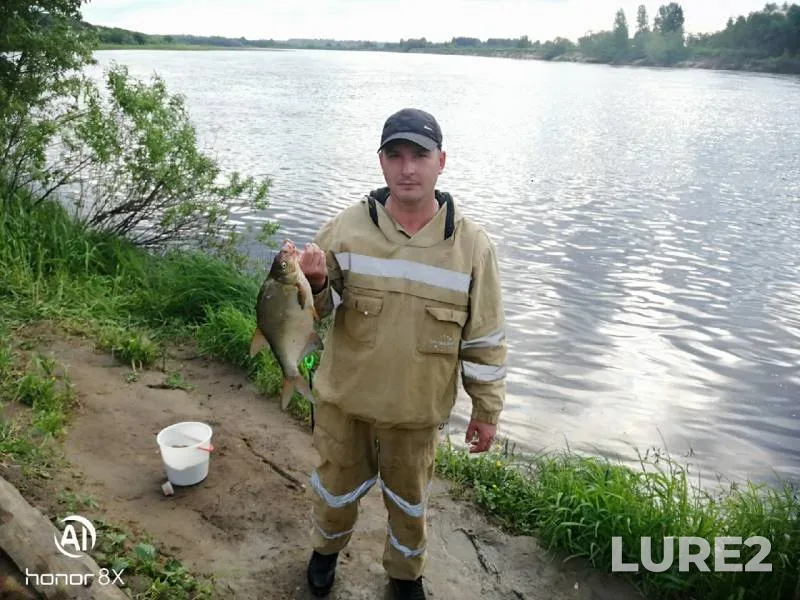Perch, Pike — Kolva, Jul 01, 2019