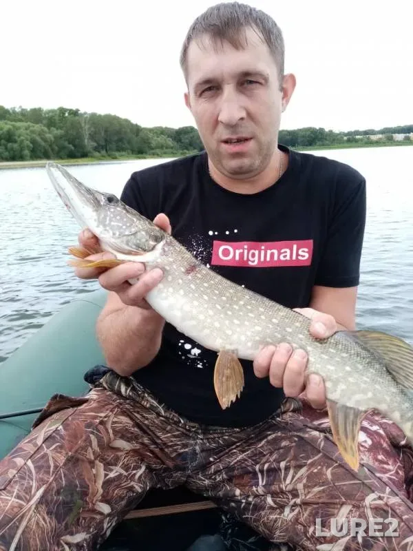 Perch, Pike — Zyryanka, Jul 29, 2019