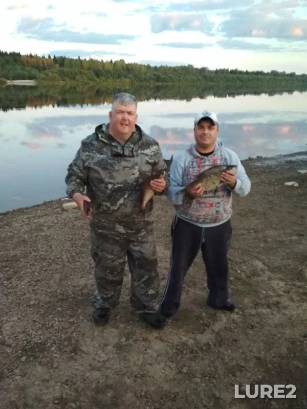 Bream — Permskiy kray, Sep 07, 2019