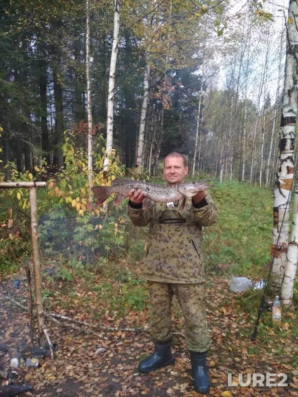 Pike — Visherka, Sep 16, 2019