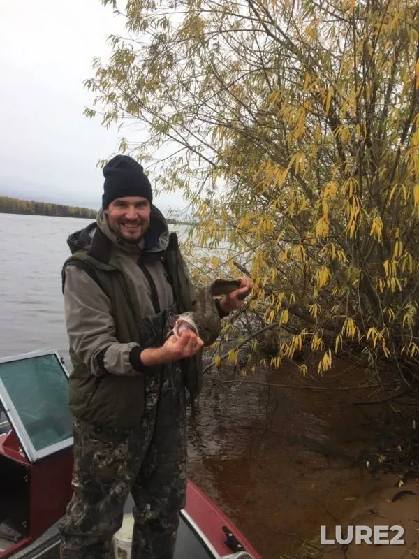 Burbot — Kama, Sep 29, 2019