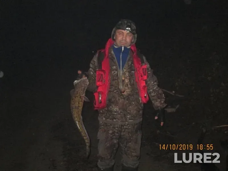 Burbot — Tolych, Oct 15, 2019