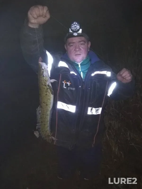 Burbot — Chyornoye, Oct 19, 2019