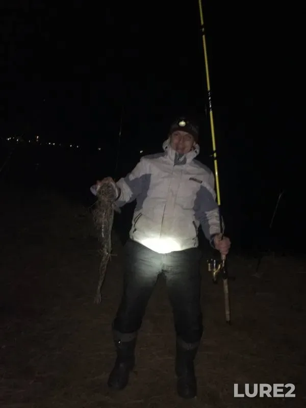 Burbot — Kama, Oct 22, 2019